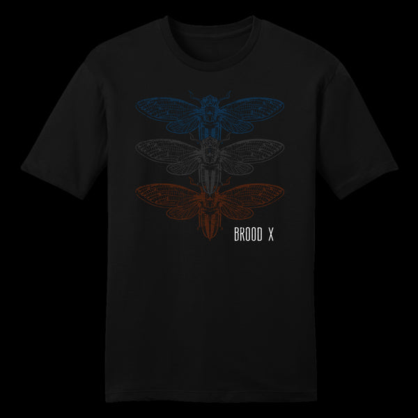 Divesart - Cicadas Brood X