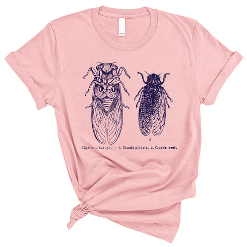 Cicada Illustration Unisex T-Shirt, Cute Insect Bug Cicada Swarm 2021 Printed Graphic Tee